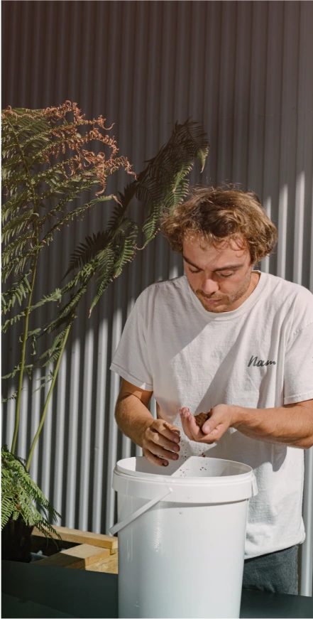 Delta Ventures Nam Mushroom